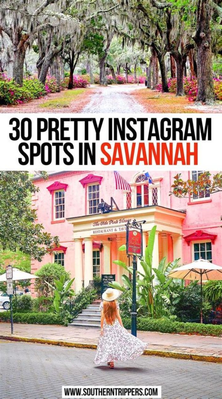 Savannah Instagram's Rise, Revelations, And Impact